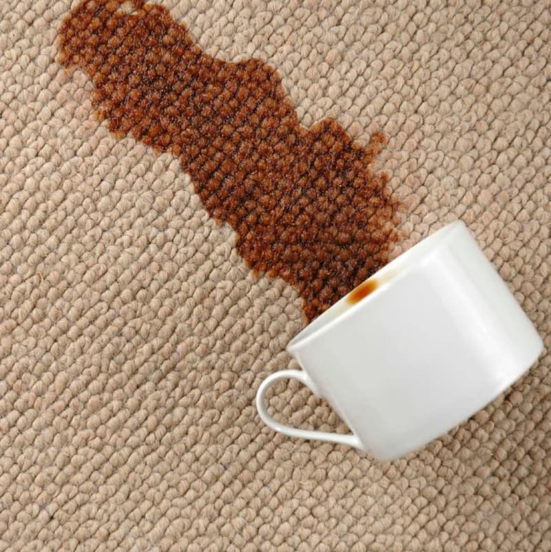 mobilecarpetandupholsterycleaning